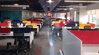 olx-6.jpg