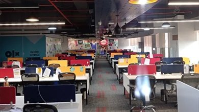 olx-9.jpg